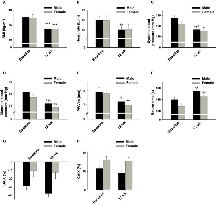 https://cdn.ncbi.nlm.nih.gov/pmc/blobs/8b93/5002412/b20793b3f178/fphys-07-00350-g0004.jpg