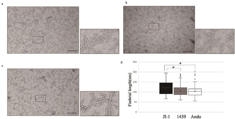 https://cdn.ncbi.nlm.nih.gov/pmc/blobs/8b95/10201998/1895fd2890ce/ZJOM_A_2215551_F0003_OC.jpg
