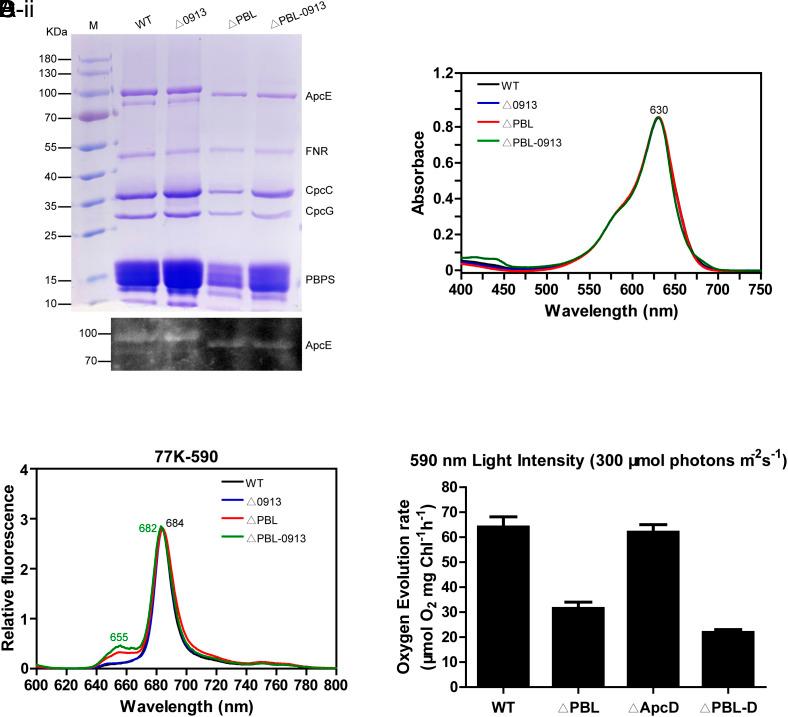 https://cdn.ncbi.nlm.nih.gov/pmc/blobs/8b9b/11789067/bdbb0c8cfcb2/pnas.2415222122fig04.jpg