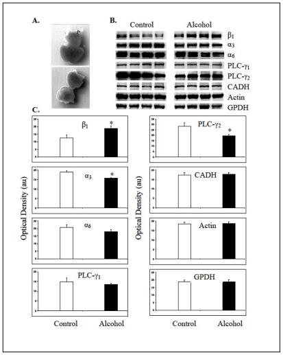 https://cdn.ncbi.nlm.nih.gov/pmc/blobs/8b9b/2996222/5b831dc57b6c/ijerph-07-04023f4.jpg
