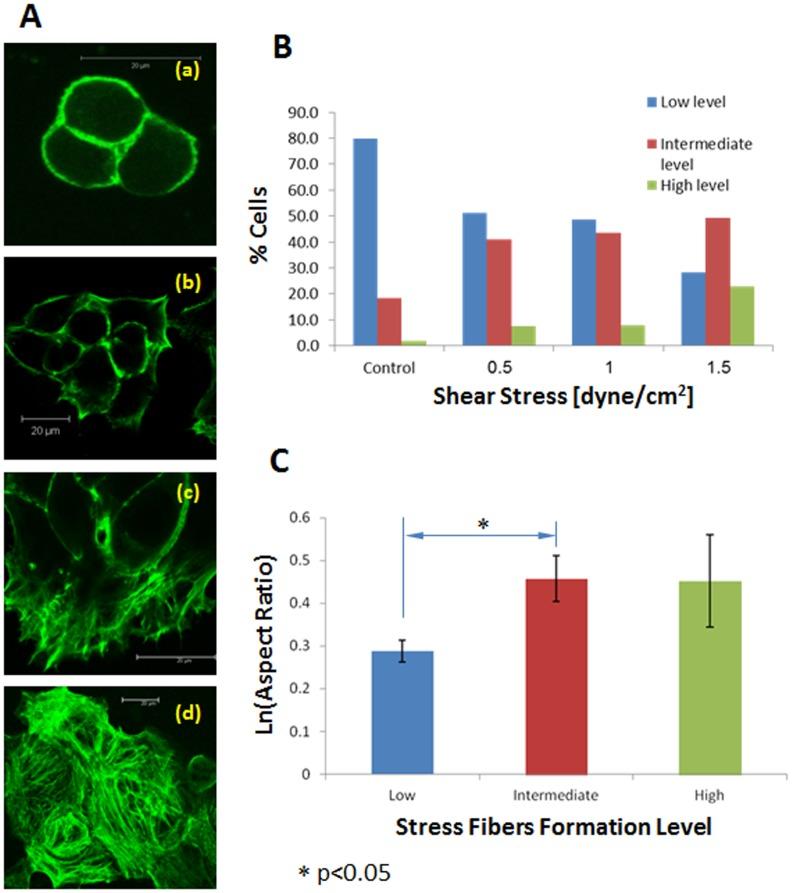 https://cdn.ncbi.nlm.nih.gov/pmc/blobs/8b9b/3622607/6b40bb2227d4/pone.0060965.g006.jpg