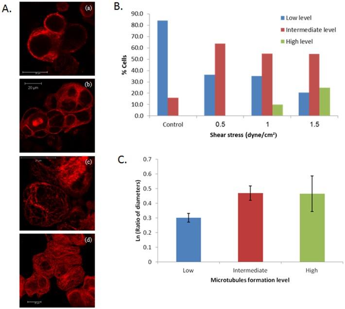 https://cdn.ncbi.nlm.nih.gov/pmc/blobs/8b9b/3622607/d3164c305221/pone.0060965.g007.jpg