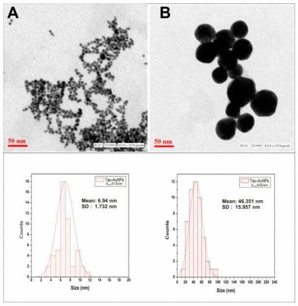 https://cdn.ncbi.nlm.nih.gov/pmc/blobs/8b9b/7023053/da1d38825953/nanomaterials-10-00045-g005.jpg