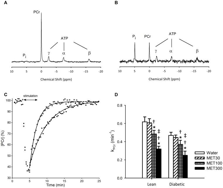 https://cdn.ncbi.nlm.nih.gov/pmc/blobs/8b9c/4065055/bfbeb2d3aeb4/pone.0100525.g001.jpg