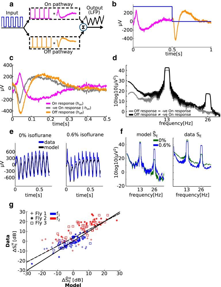 https://cdn.ncbi.nlm.nih.gov/pmc/blobs/8b9c/4967815/33104913617c/enu0041620930005.jpg