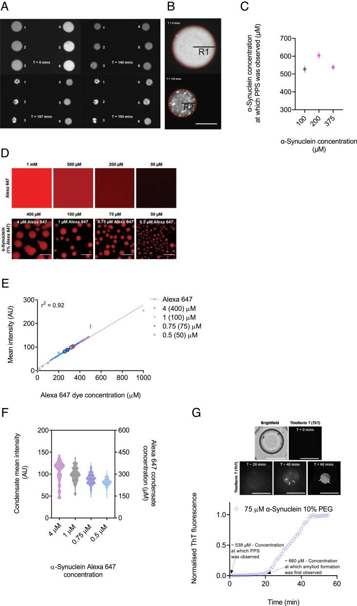 https://cdn.ncbi.nlm.nih.gov/pmc/blobs/8b9c/9992821/213862c67b00/pnas.2208792120fig03.jpg