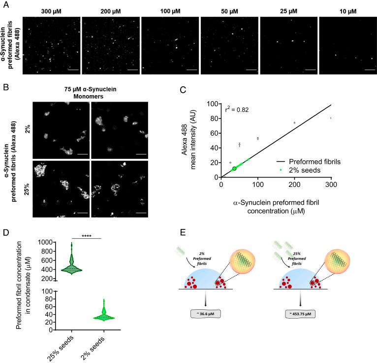 https://cdn.ncbi.nlm.nih.gov/pmc/blobs/8b9c/9992821/5d42cbe0fce7/pnas.2208792120fig05.jpg