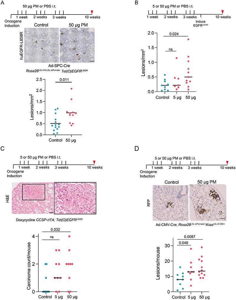 https://cdn.ncbi.nlm.nih.gov/pmc/blobs/8b9d/7614604/140b535167b9/EMS173669-f006.jpg