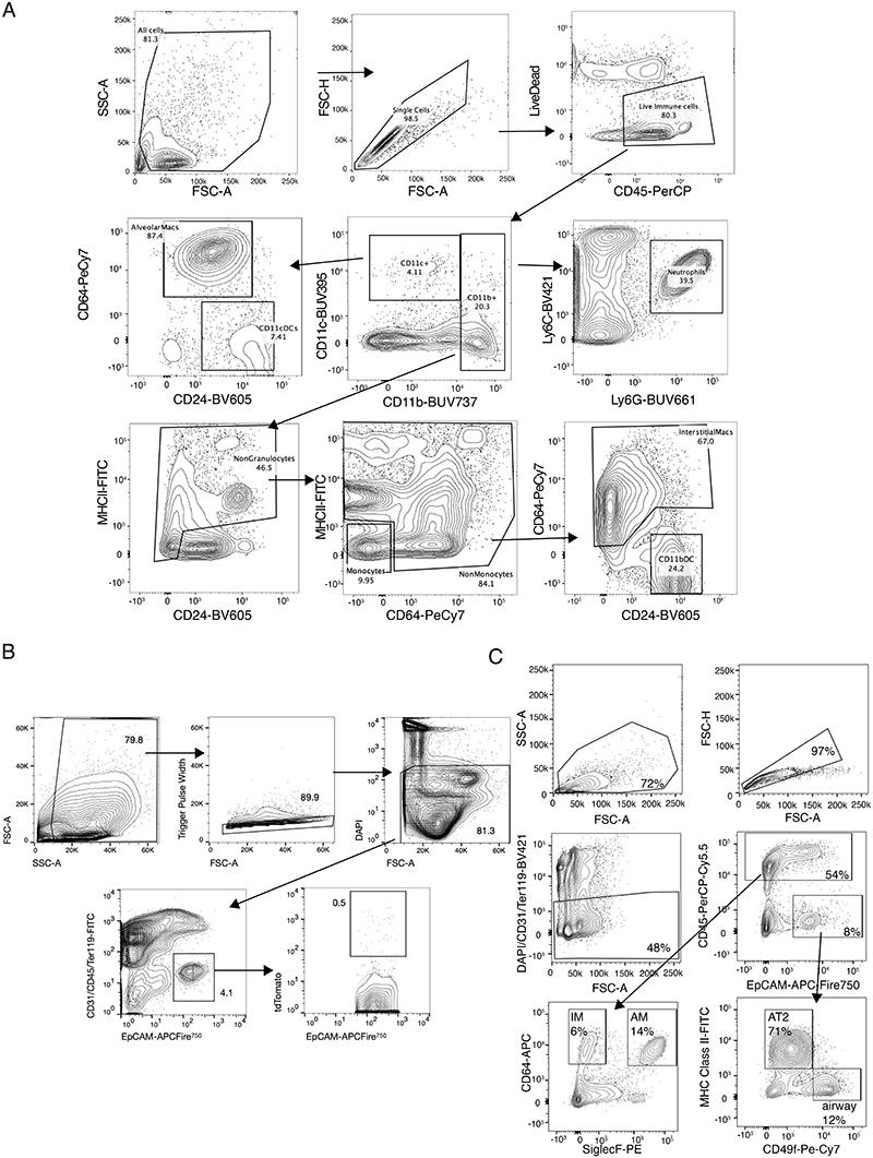 https://cdn.ncbi.nlm.nih.gov/pmc/blobs/8b9d/7614604/41699a33240d/EMS173669-f010.jpg