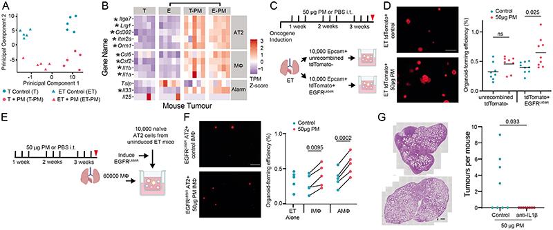 https://cdn.ncbi.nlm.nih.gov/pmc/blobs/8b9d/7614604/608649e879ee/EMS173669-f003.jpg