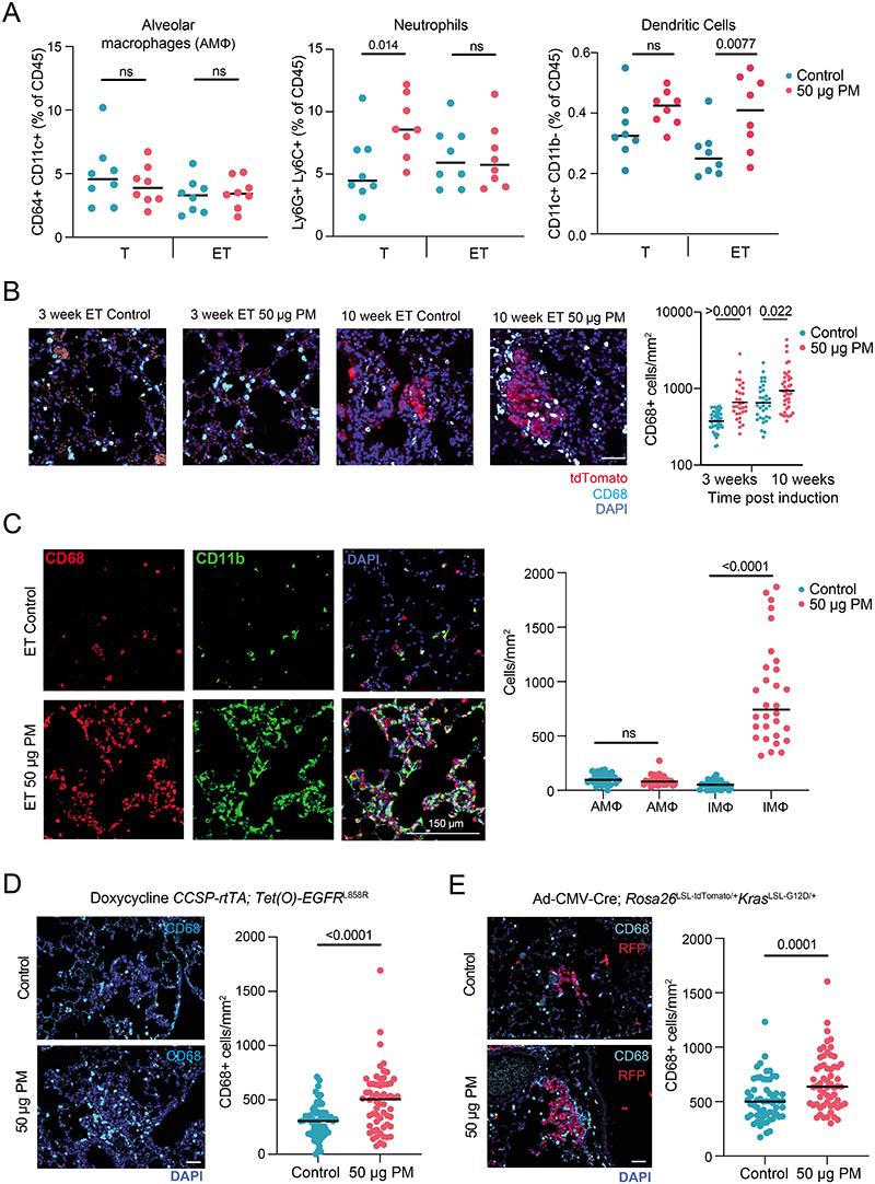 https://cdn.ncbi.nlm.nih.gov/pmc/blobs/8b9d/7614604/b4e02928c9c8/EMS173669-f008.jpg