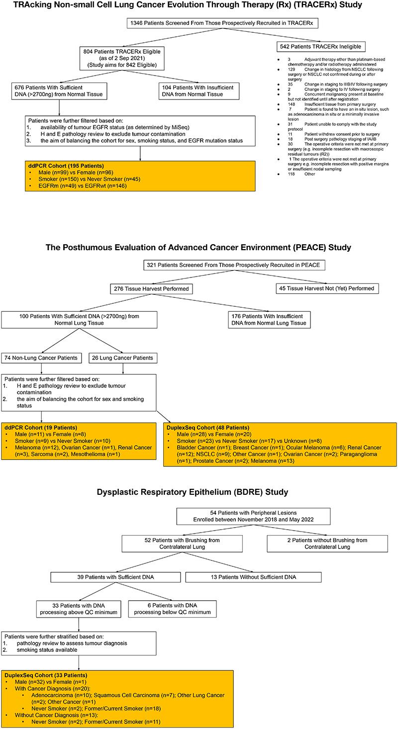 https://cdn.ncbi.nlm.nih.gov/pmc/blobs/8b9d/7614604/c36bfc5250dc/EMS173669-f011.jpg
