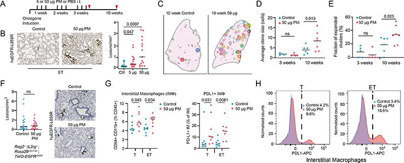https://cdn.ncbi.nlm.nih.gov/pmc/blobs/8b9d/7614604/d593ef871a53/EMS173669-f002.jpg