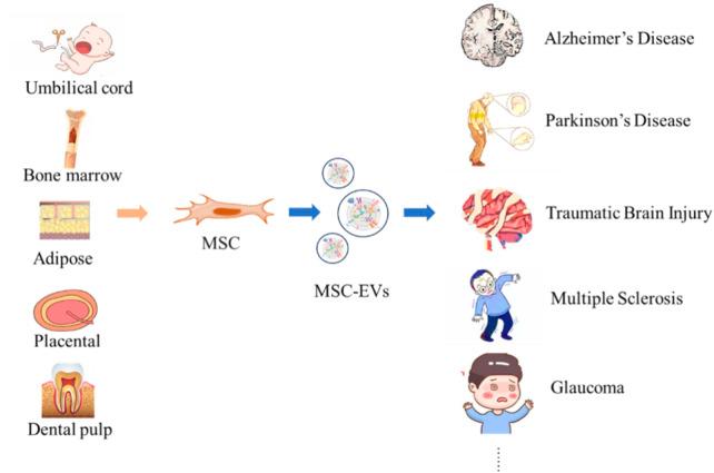 https://cdn.ncbi.nlm.nih.gov/pmc/blobs/8ba1/12399395/d83b5cf83e28/fcell-13-1626996-g002.jpg