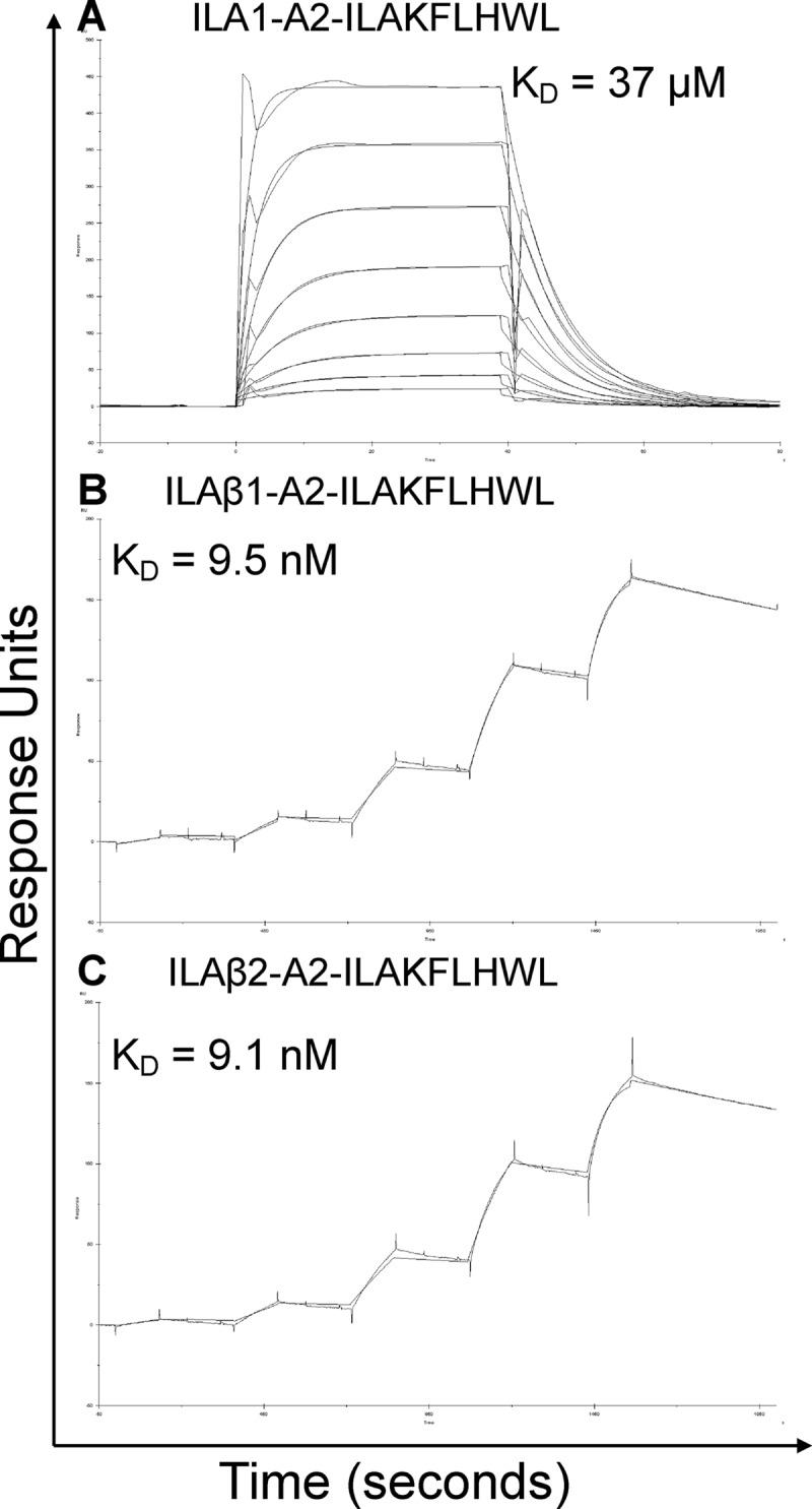 https://cdn.ncbi.nlm.nih.gov/pmc/blobs/8ba1/3887192/c523e9eb1437/zbc0031470990002.jpg