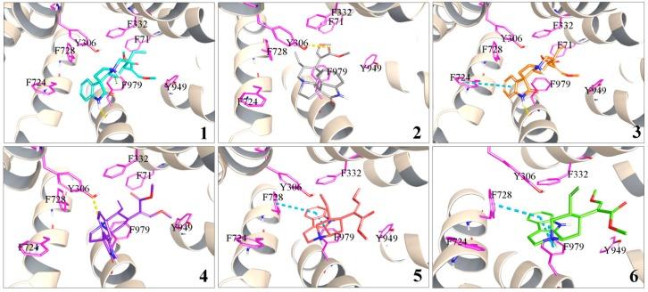 https://cdn.ncbi.nlm.nih.gov/pmc/blobs/8ba3/6150385/d2fba922aa36/molecules-22-01944-g005.jpg