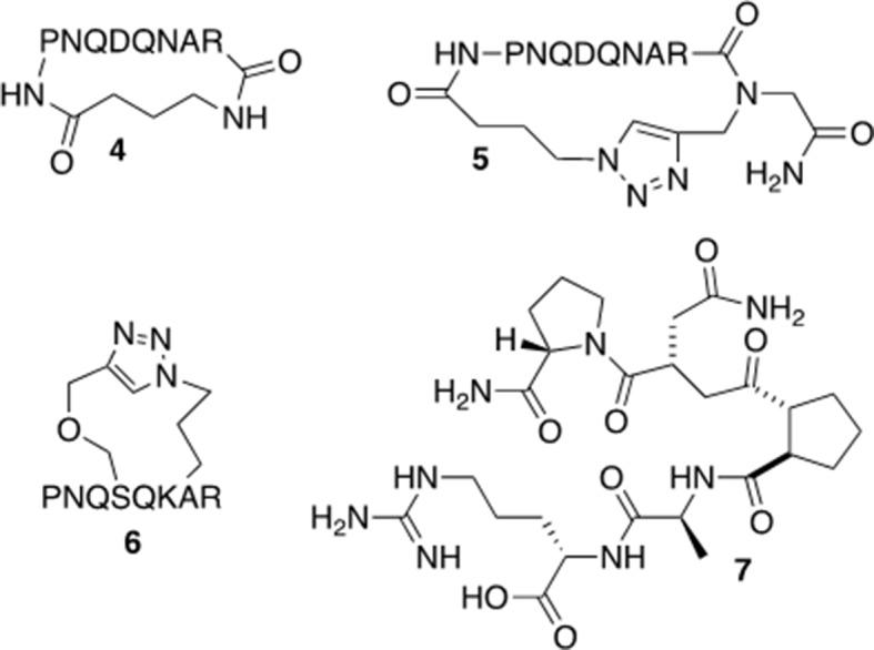 https://cdn.ncbi.nlm.nih.gov/pmc/blobs/8ba3/6716272/38baa7ad1b1d/fphar-10-00907-g005.jpg