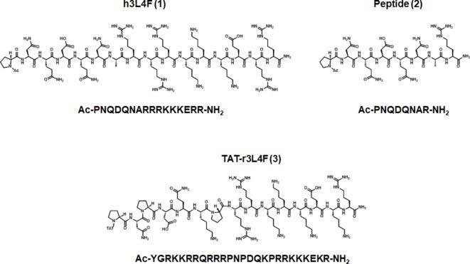 https://cdn.ncbi.nlm.nih.gov/pmc/blobs/8ba3/6716272/be4d58446a99/fphar-10-00907-g001.jpg