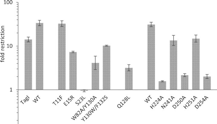 https://cdn.ncbi.nlm.nih.gov/pmc/blobs/8ba7/7897488/ee4f5cfdbccf/gkaa1218fig5.jpg