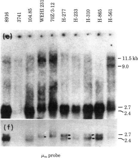 https://cdn.ncbi.nlm.nih.gov/pmc/blobs/8ba8/319029/b78afaf28446/pnas00652-0272-a.jpg