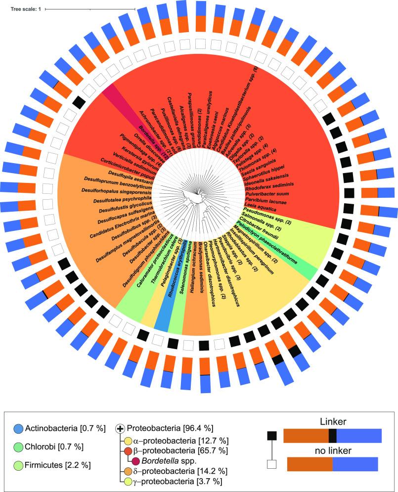 https://cdn.ncbi.nlm.nih.gov/pmc/blobs/8baa/10214165/65c9f35dbaf4/pnas.2219540120fig03.jpg