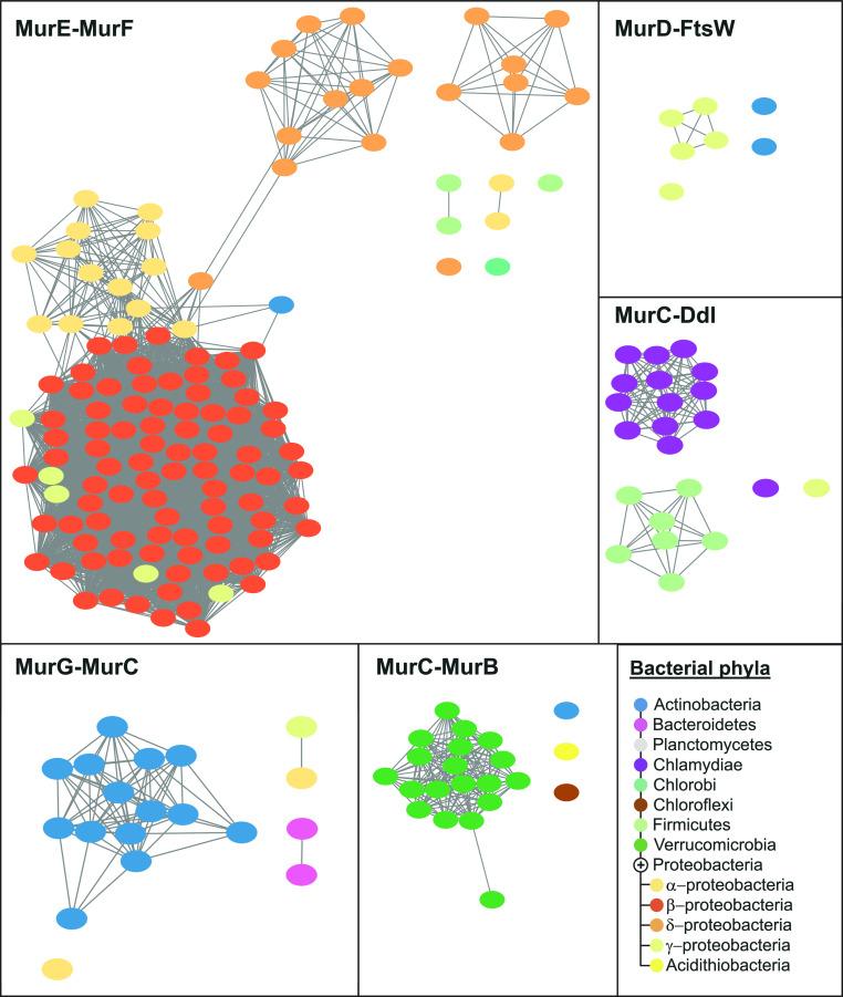 https://cdn.ncbi.nlm.nih.gov/pmc/blobs/8baa/10214165/7da4581b4f5f/pnas.2219540120fig02.jpg
