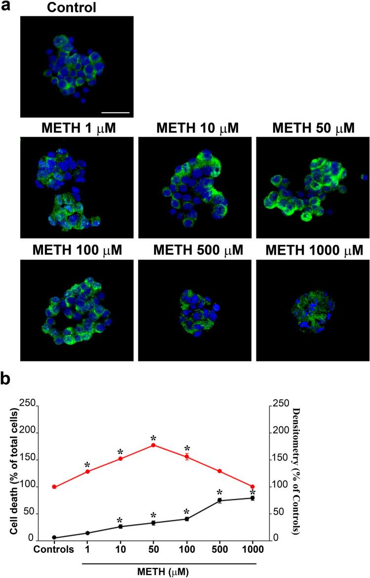 https://cdn.ncbi.nlm.nih.gov/pmc/blobs/8baa/11016004/2d94f685953a/702_2024_2741_Fig3_HTML.jpg
