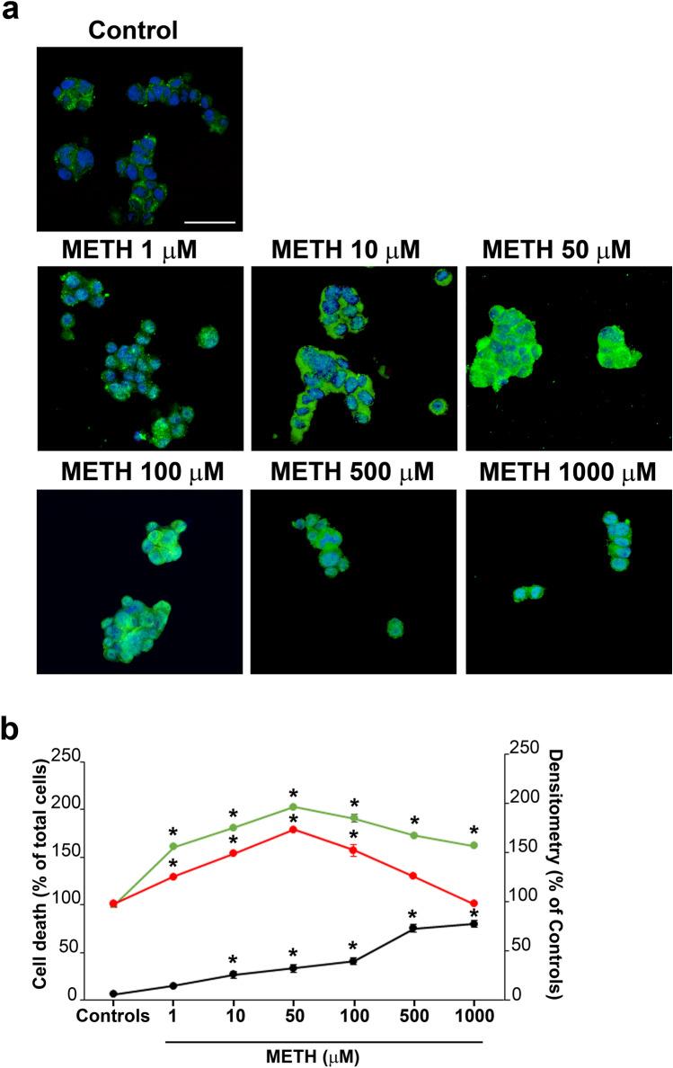 https://cdn.ncbi.nlm.nih.gov/pmc/blobs/8baa/11016004/4ac448cd10da/702_2024_2741_Fig5_HTML.jpg