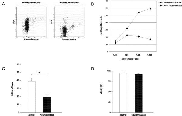 https://cdn.ncbi.nlm.nih.gov/pmc/blobs/8baa/1976417/672bb17753fb/1471-2172-8-13-5.jpg