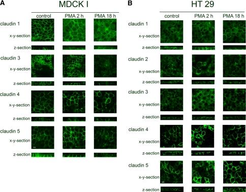 https://cdn.ncbi.nlm.nih.gov/pmc/blobs/8baa/2927686/d3316172cd81/232_2010_9289_Fig1_HTML.jpg