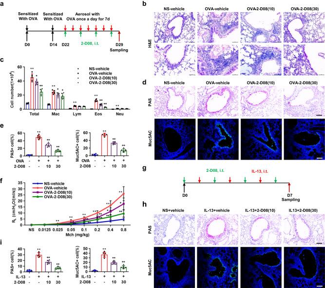 https://cdn.ncbi.nlm.nih.gov/pmc/blobs/8bab/10314948/b9bf19c530a9/41467_2023_39600_Fig2_HTML.jpg