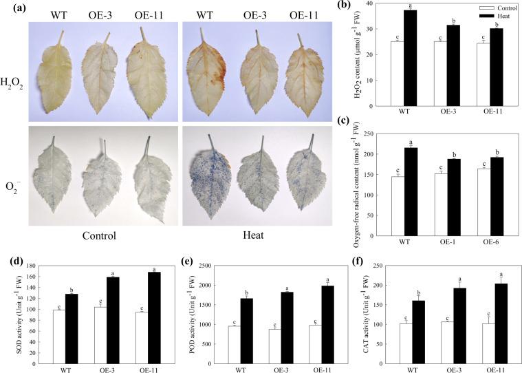 https://cdn.ncbi.nlm.nih.gov/pmc/blobs/8bab/7049305/11347eca0950/41438_2020_243_Fig2_HTML.jpg