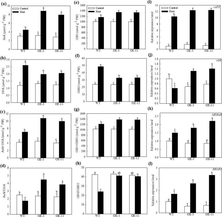 https://cdn.ncbi.nlm.nih.gov/pmc/blobs/8bab/7049305/28a1b48b7b2f/41438_2020_243_Fig3_HTML.jpg