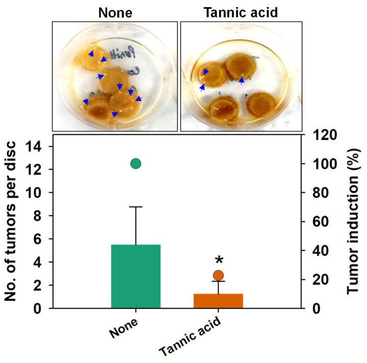 https://cdn.ncbi.nlm.nih.gov/pmc/blobs/8bac/9312696/e11911c6ab87/biomedicines-10-01619-g007.jpg