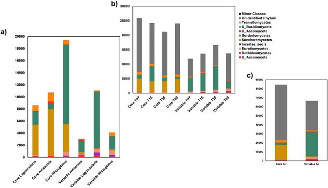 https://cdn.ncbi.nlm.nih.gov/pmc/blobs/8bac/9411622/25b4eb82c24d/41598_2022_18667_Fig4_HTML.jpg