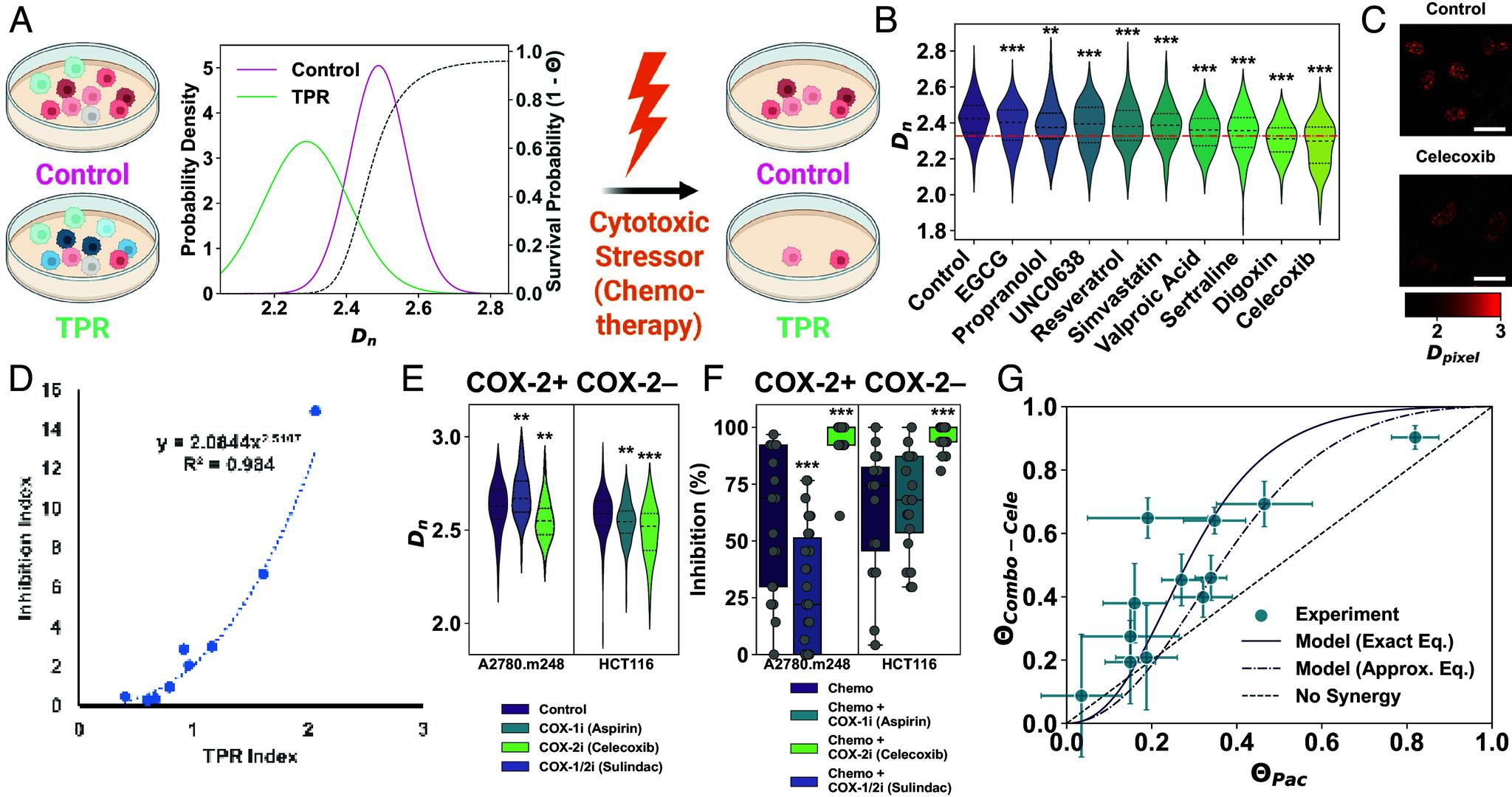 https://cdn.ncbi.nlm.nih.gov/pmc/blobs/8bad/12318189/3e134ac0a8e8/pnas.2425319122fig04.jpg