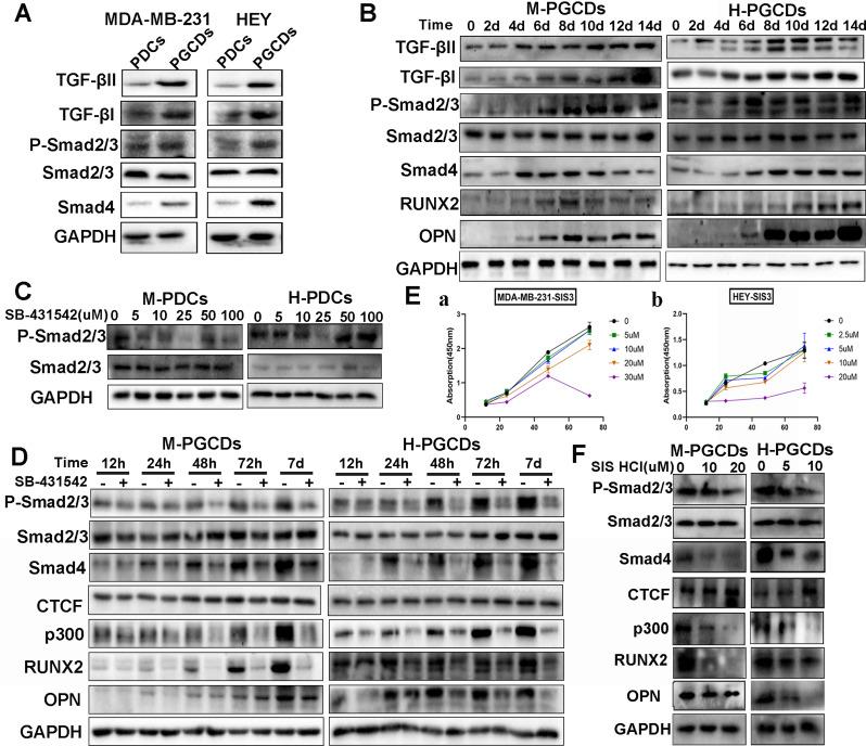 https://cdn.ncbi.nlm.nih.gov/pmc/blobs/8bae/11566548/4ffeac8b0f68/12964_2024_1933_Fig3_HTML.jpg