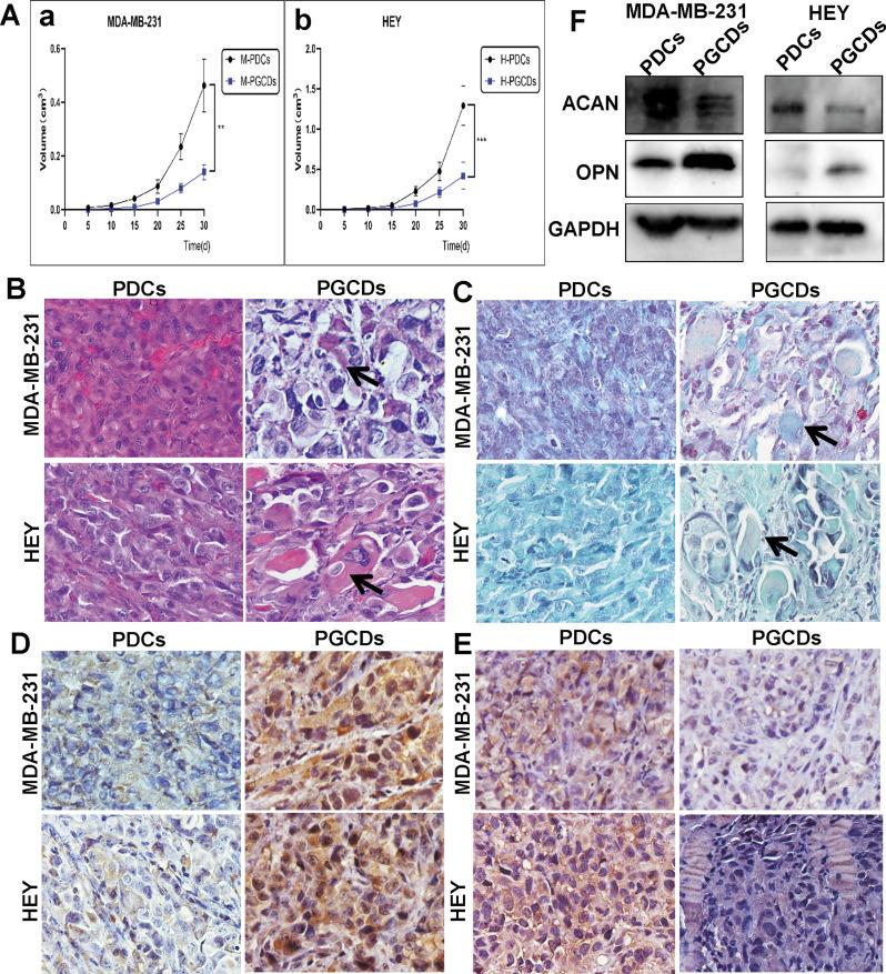 https://cdn.ncbi.nlm.nih.gov/pmc/blobs/8bae/11566548/5440b7f1bb42/12964_2024_1933_Fig7_HTML.jpg
