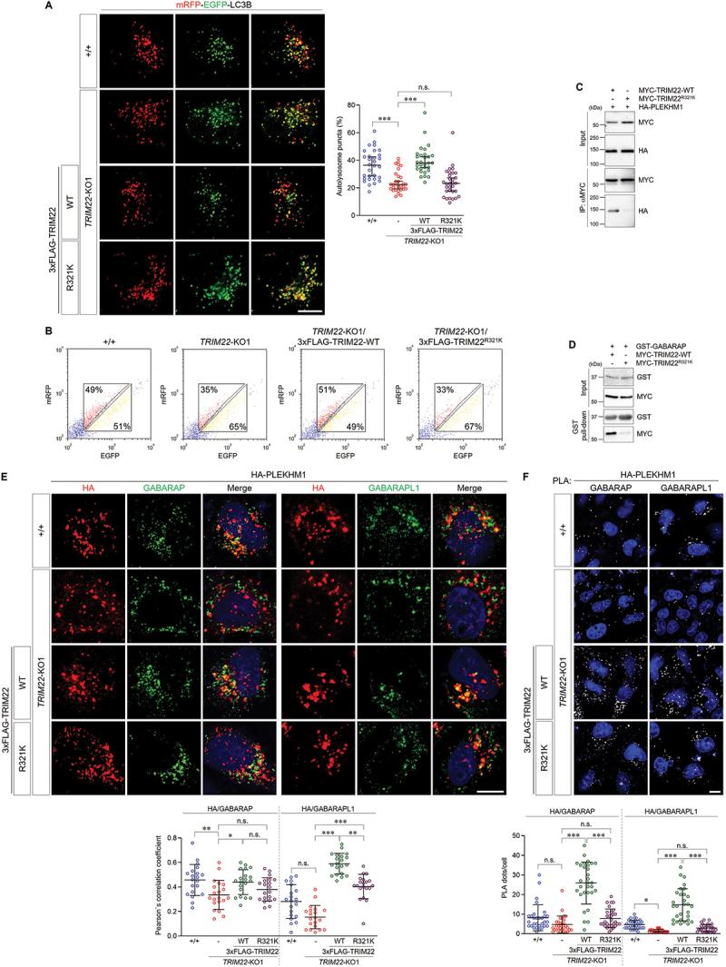 https://cdn.ncbi.nlm.nih.gov/pmc/blobs/8baf/11135824/3b27de538a70/KAUP_A_2287925_F0007_C.jpg