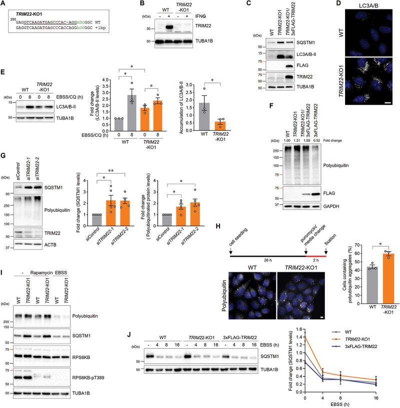 https://cdn.ncbi.nlm.nih.gov/pmc/blobs/8baf/11135824/b689c5b23d3c/KAUP_A_2287925_F0001_C.jpg