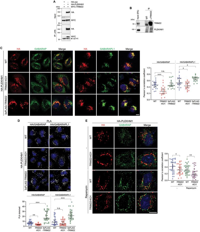 https://cdn.ncbi.nlm.nih.gov/pmc/blobs/8baf/11135824/c02cbaab333e/KAUP_A_2287925_F0004_C.jpg