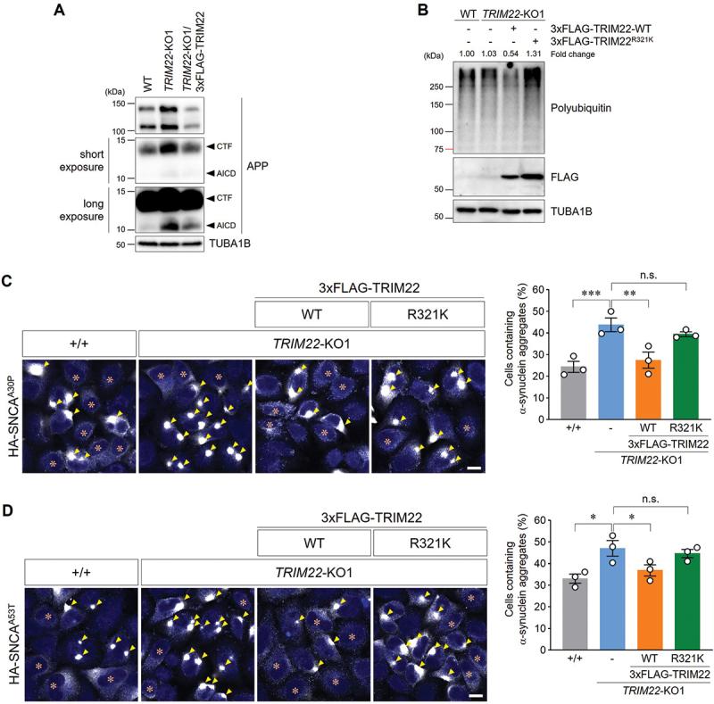 https://cdn.ncbi.nlm.nih.gov/pmc/blobs/8baf/11135824/cdc22adbaa2b/KAUP_A_2287925_F0006_C.jpg