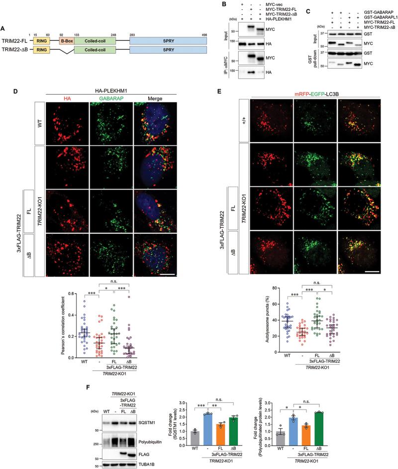https://cdn.ncbi.nlm.nih.gov/pmc/blobs/8baf/11135824/e417cf7460f3/KAUP_A_2287925_F0005_C.jpg