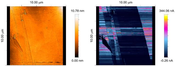 https://cdn.ncbi.nlm.nih.gov/pmc/blobs/8bb0/11398235/918d188c8935/sensors-24-05649-g007.jpg