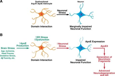 https://cdn.ncbi.nlm.nih.gov/pmc/blobs/8bb0/2785655/1db14357d74e/zbc0450991430007.jpg