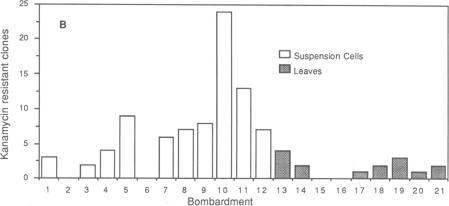 https://cdn.ncbi.nlm.nih.gov/pmc/blobs/8bb1/282486/78797ac59ec1/pnas00301-0141-b.jpg