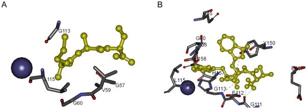 https://cdn.ncbi.nlm.nih.gov/pmc/blobs/8bb1/2880006/9c5c2b78b2c8/pone.0010926.g013.jpg