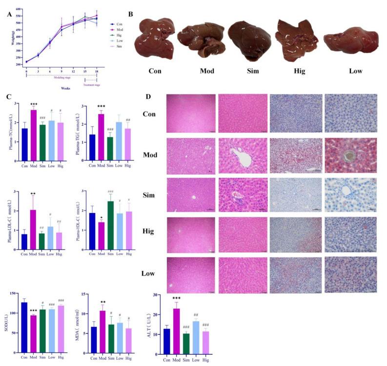 https://cdn.ncbi.nlm.nih.gov/pmc/blobs/8bb2/10005657/8e1d9e6226a2/molecules-28-02242-g003.jpg