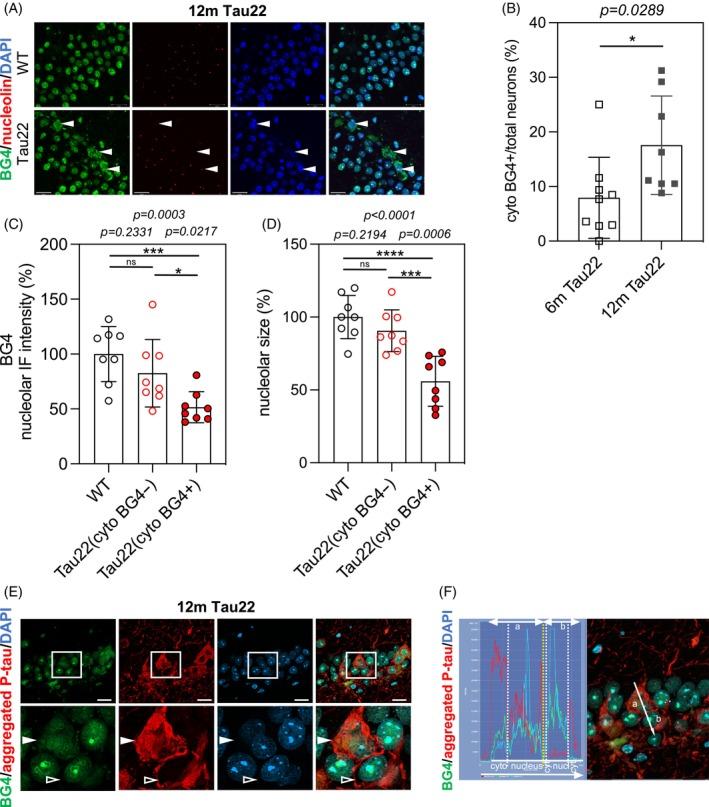 https://cdn.ncbi.nlm.nih.gov/pmc/blobs/8bb3/11835446/4613d0b126d2/BPA-35-e13262-g005.jpg