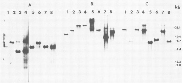 https://cdn.ncbi.nlm.nih.gov/pmc/blobs/8bb3/184102/3564c687c57f/aem00095-0026-b.jpg
